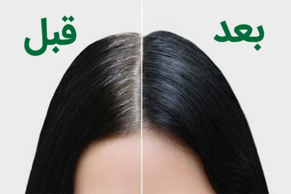 شامپو رنگ مشکی لانا 400میل